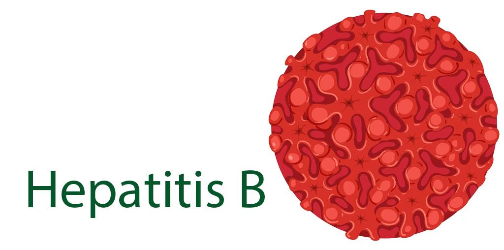 Service - Hepatitis B Image